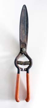 ORANGE HANDLE GARDEN SHEARS