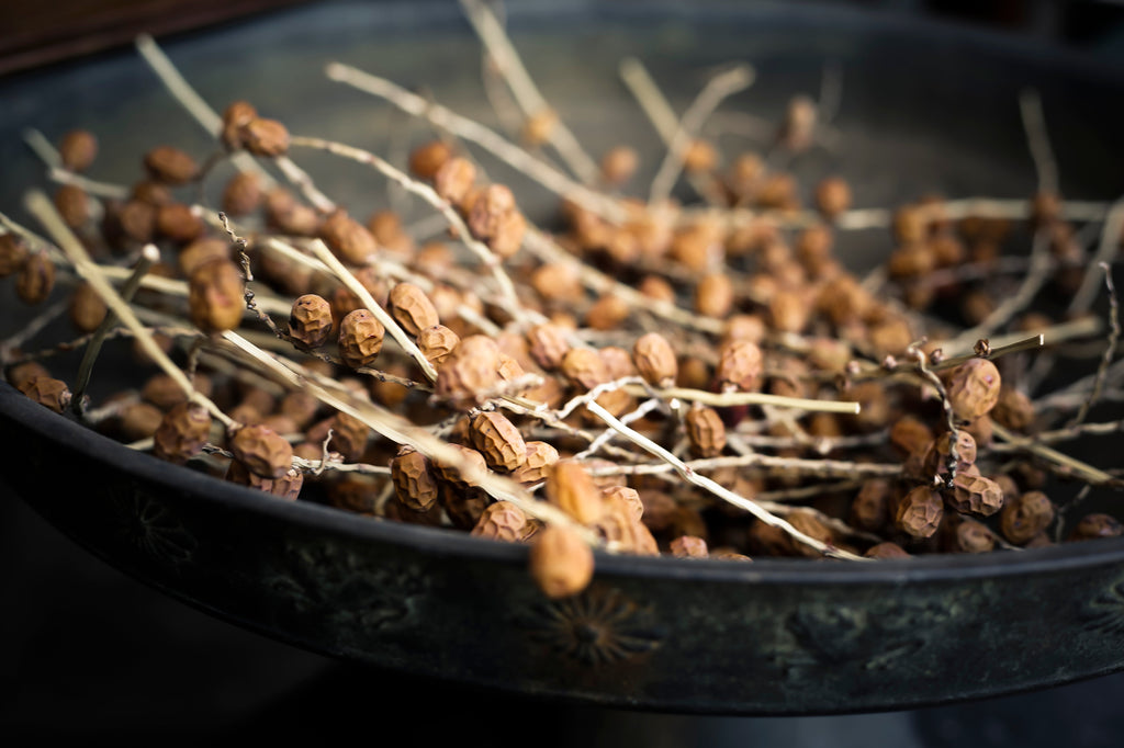 Lesson 3: Nature to the Rescue